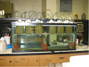 Figure 2. Aquarium used to provide a heated water bath (35°C) that held the nine, 1.8-L batch reactors.
