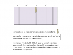 Figure 1. Earlier work determined that collecting and compositing four sets of five soil samples that were 12-inches deep and 6-inches apart where manure injection banding was in place was an accurate substitution for Pre-sidedress Nitrate Testing compared to soils with surface broadcasted nitrogen.